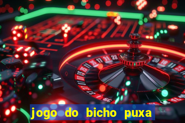 jogo do bicho puxa de dona maria